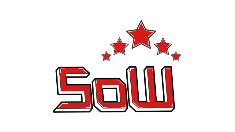 Logo fictif d'une équipe appelée SOW, spécialisée dans les jeux vidéo.