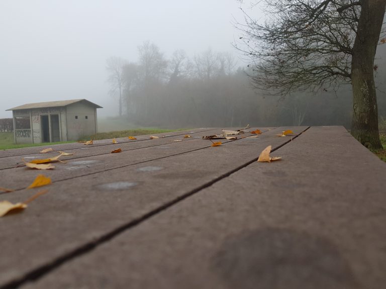 Photographie prise d'un endroit de repos, baigné dans le brouillard, près de la forêt.